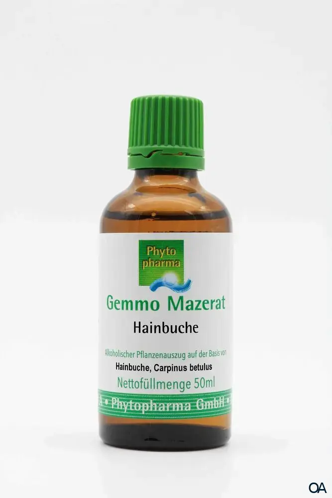Phytopharma Gemmo Mazerat Hainbuche Tropfen