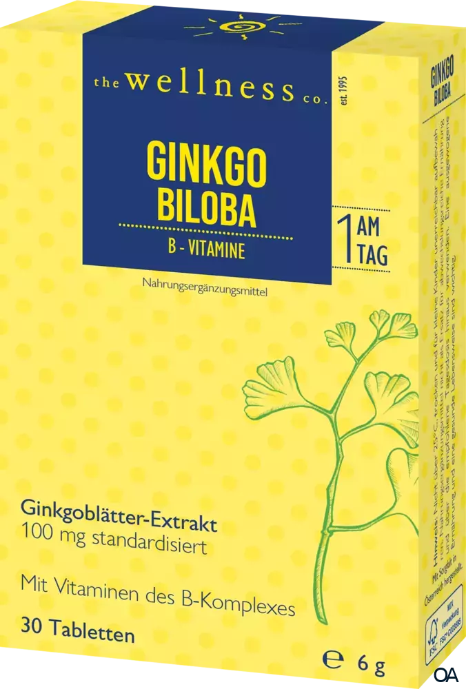 Wellness GINKGO BILOBA + B-VITAMINE Tabletten