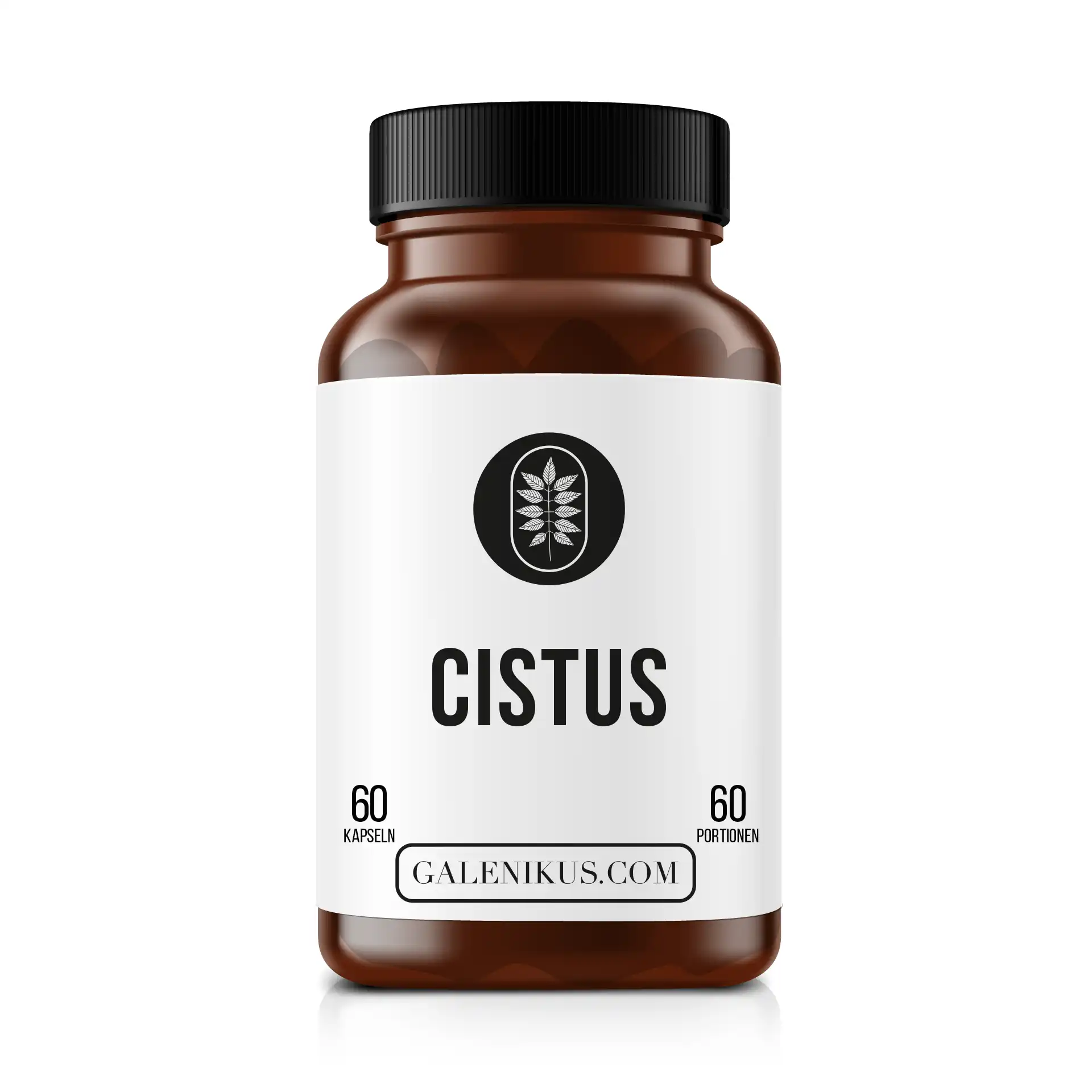 ATRIUM Cistus