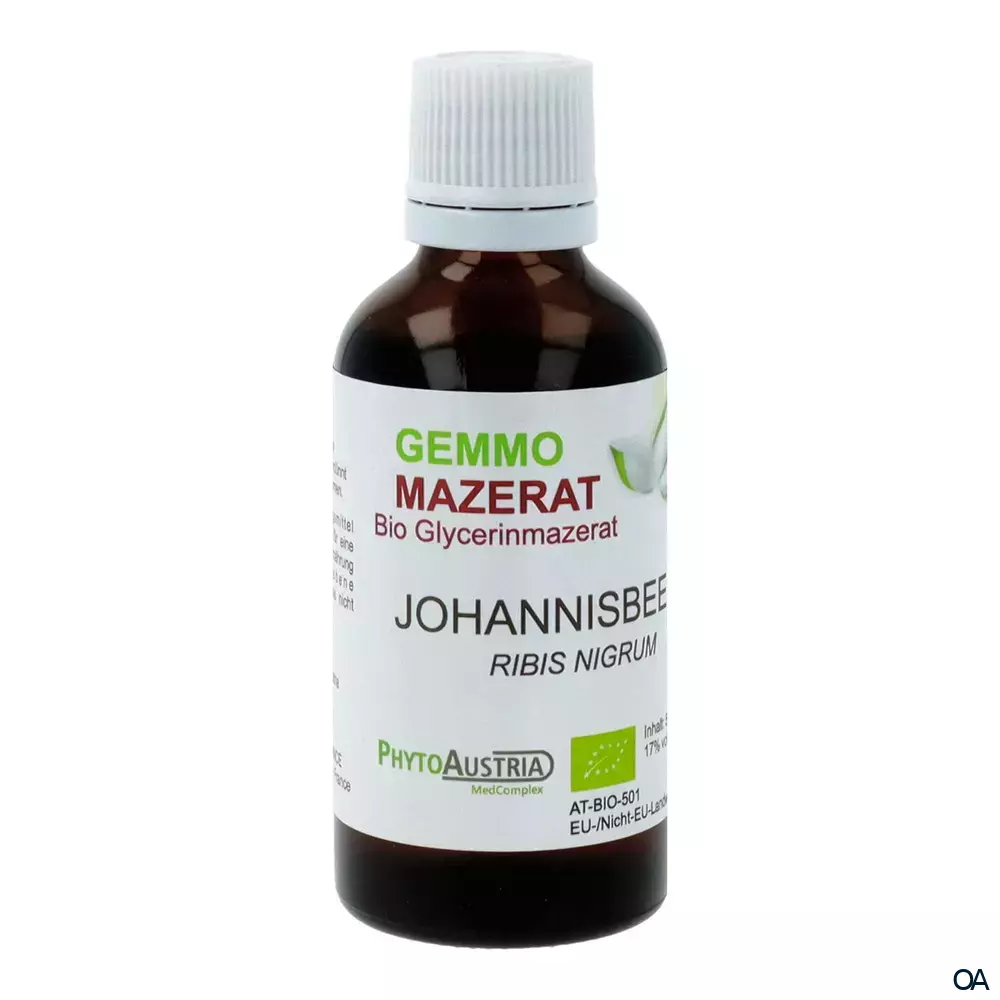 PhytoAustria Bio Gemmo Mazerat Johannisbeere (Ribis Nigrum)