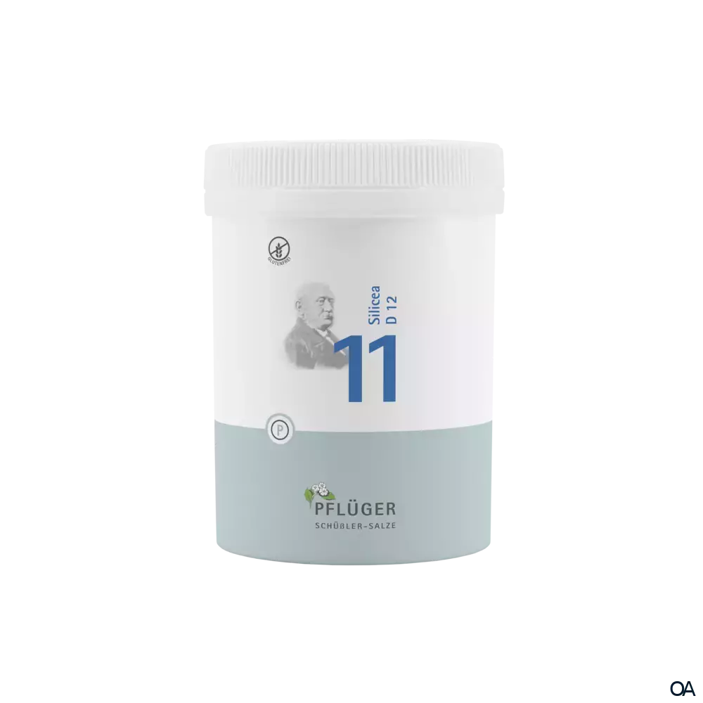 BIOCHEMIE PFLÜGER® Nr. 11 Silicea D 12 Tabletten