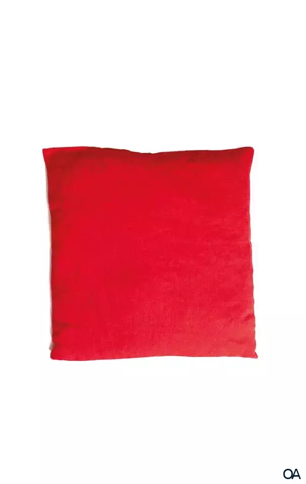 APOfit Kirschkernkissen rot 25 × 25 cm 500 g