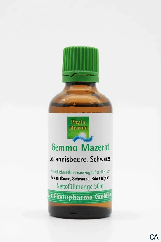 Phytopharma Gemmo Mazerat schwarze Johannisbeere Tropfen