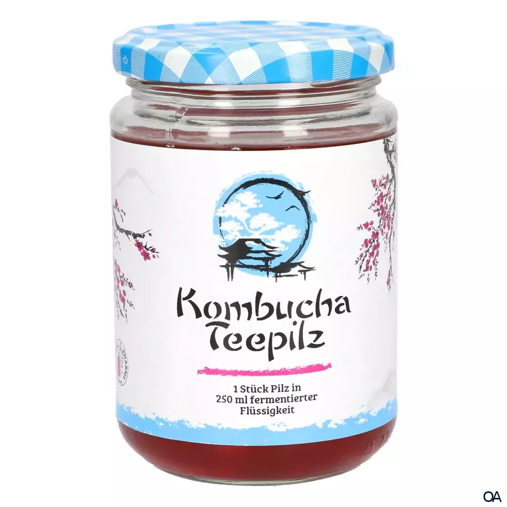 Gall Pharma Kombucha Pilz