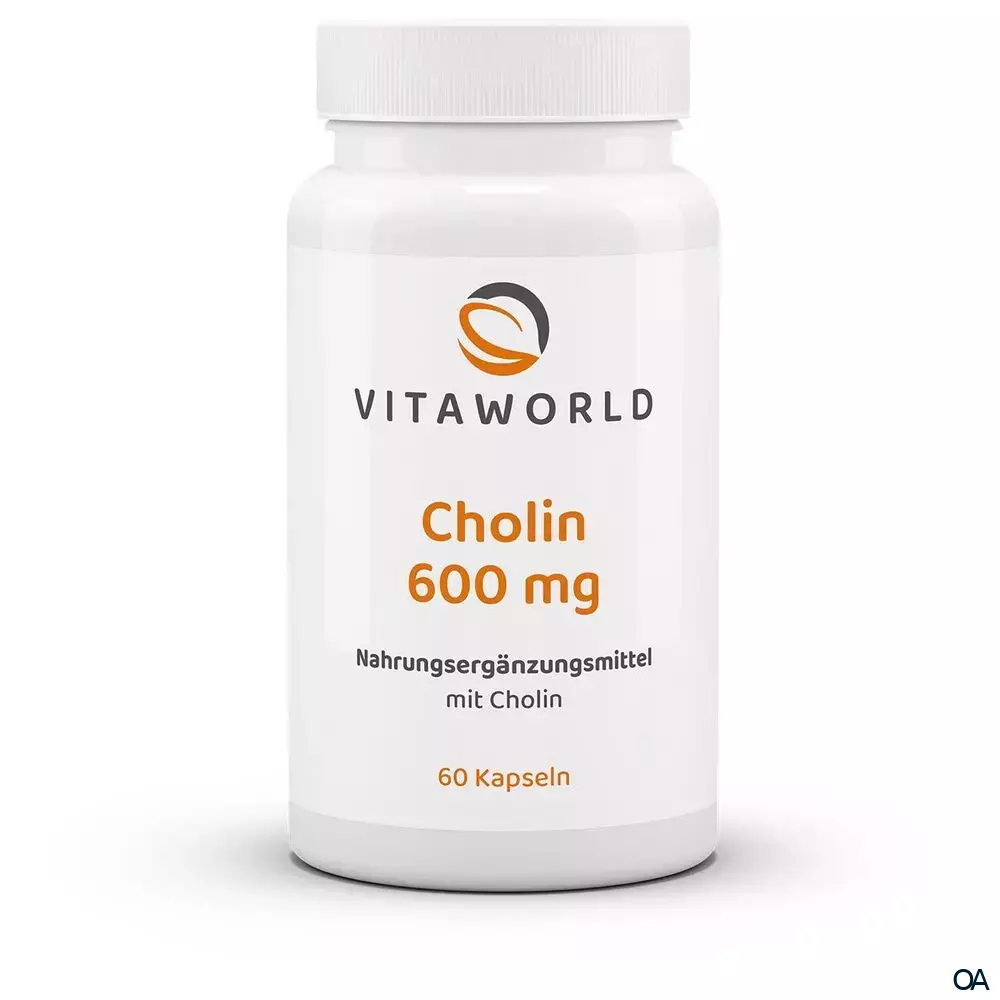 Vitaworld Cholin 600 mg Kapseln