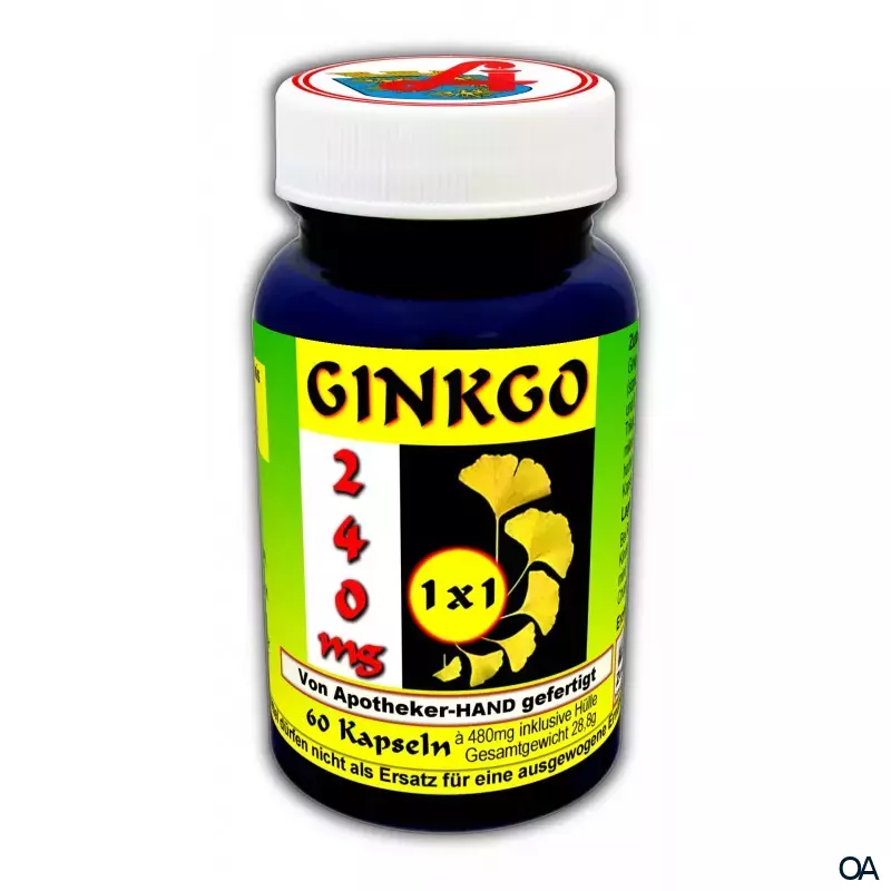 Ginkgo 240 mg 1 x 1 täglich Kapseln